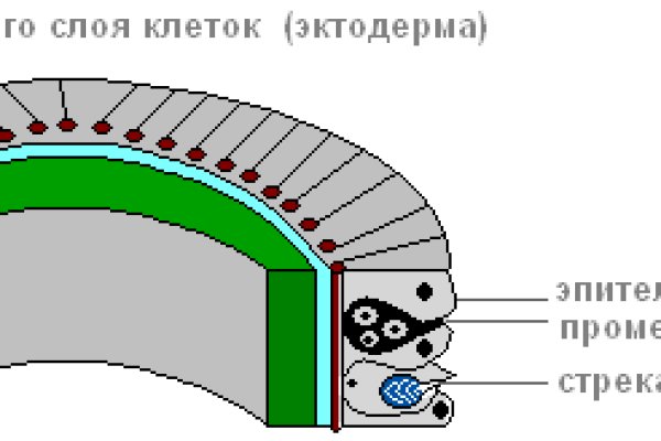 Зеркала сайта кракен tor