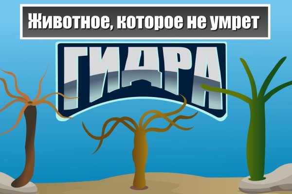 Кракен маркет даркнет только через стор