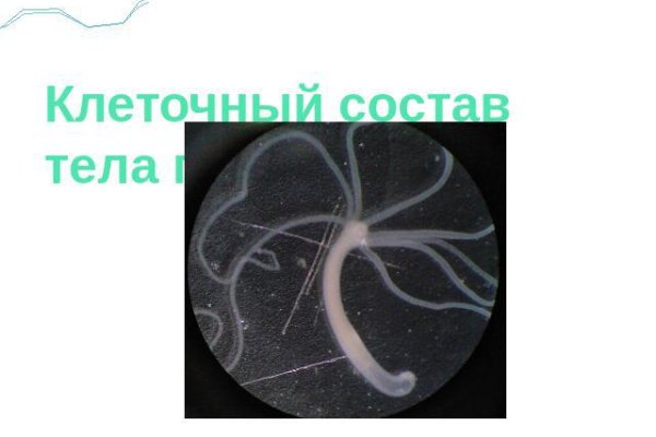 Кракен мефедрон