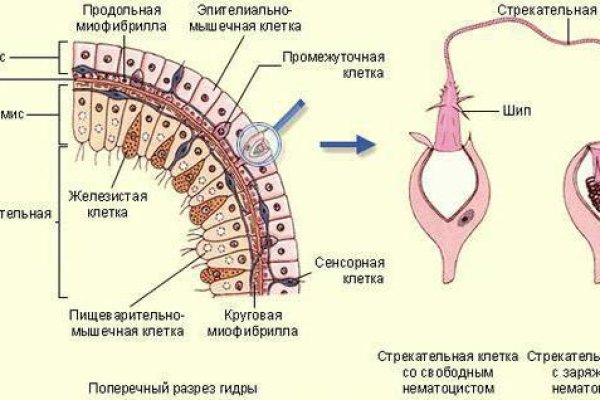 Кракен сайт krk market com