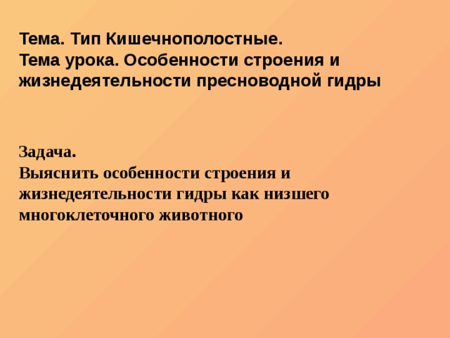 Что такое кракен в интернете