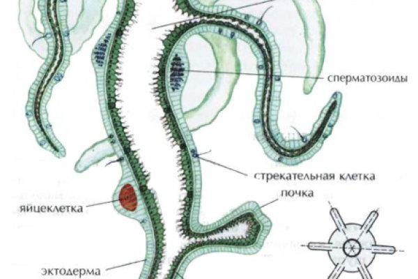 Кракен драг