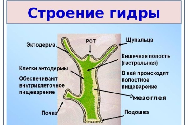 Кракен наркошоп сайт