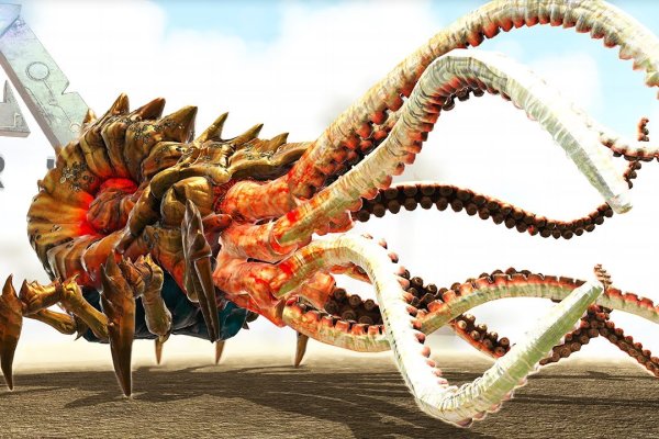 Kraken19at