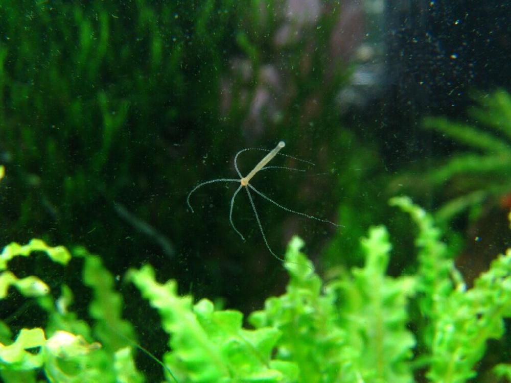 Кракен магазин kraken clear com