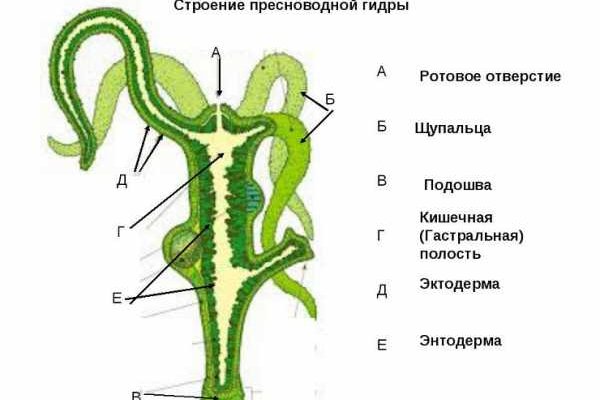 Кракен рабочий сайт