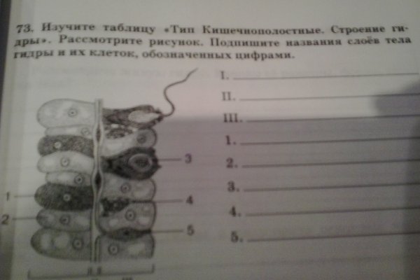 Впн для кракена