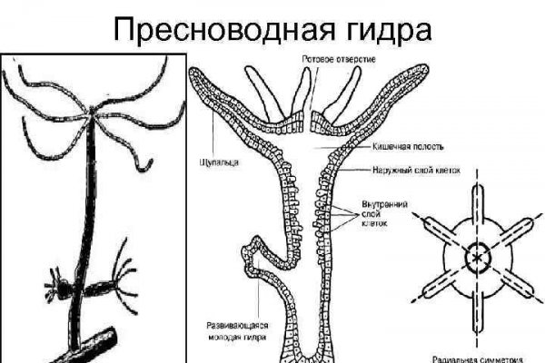 Кракен площадка ссылка